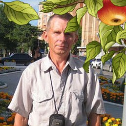 �������, �������, 67 ���