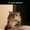  ,  -  24  2025    