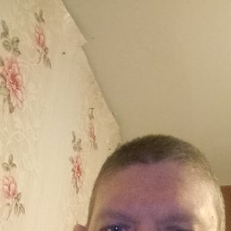 ���� ������, �����, 41 ��� - ��������� 5 ������ 2026