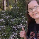  Katrin, , 40  -  25  2025    