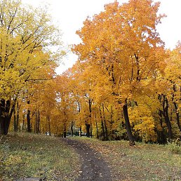 �������, �����������, 61 ���