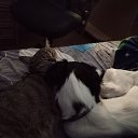 ����� � ���� ����)))