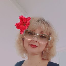 �����, ��������, 48 ���