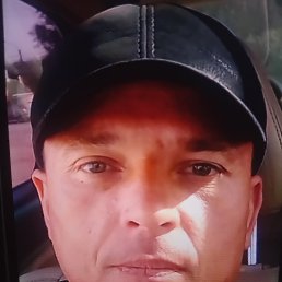 , 37, 