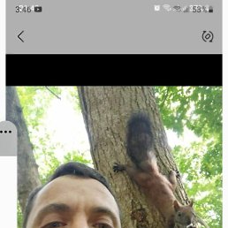 , 41 , 