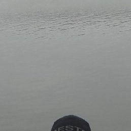, 53, 