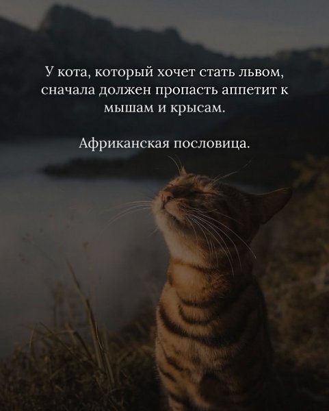    ... - 3