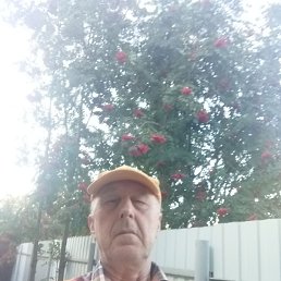 , , 66 