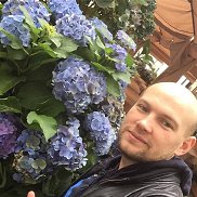 , 40 , -