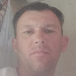 �����, �����-���������, 43 ����