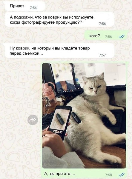 ���� ��� ���� - 15 ��� 2025 � 10:03