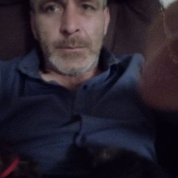 , 41, 