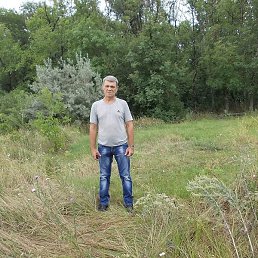 ���������, ����, 62 ����