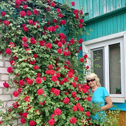 , 59, 