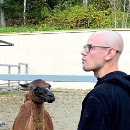 ���������, ������, 32 ����