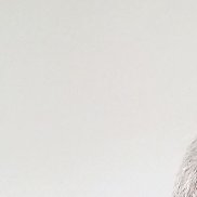 ������, 50 ���, �������