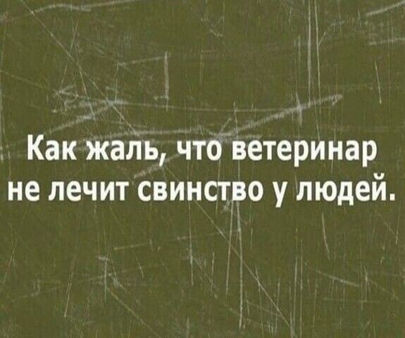   - 4  2024  21:21