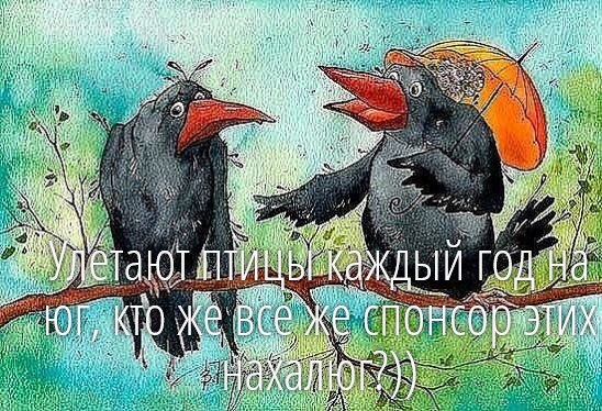 ОБО ВСЕМ - 5 октября 2025 в 17:10