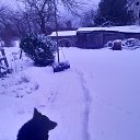 ���� ������, ���� - ��������� 13 ������ 2025 � ������ ������ ��������
