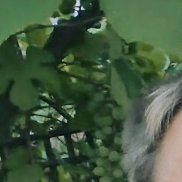 , 34 , 