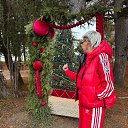 ���� �����, ��������, 62 ���� - ��������� 11 ������ 2026 � ������ ������ ��������