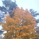 ���� �������, ������, 58 ��� - ��������� 7 ������� 2025 � ������ ���� ���� - �� �������