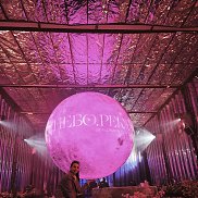 ����, 41 ���, �����