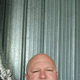 , 44, 