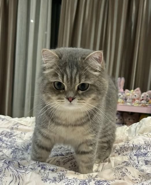    ?