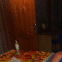 ����, ������, 43 ����