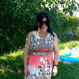 ���� ��������, ������, 41 ��� - ��������� 2 ���� 2025