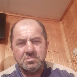 , 53, 