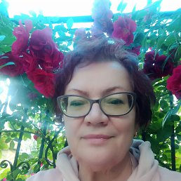, 62, 