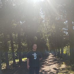 , , 52 