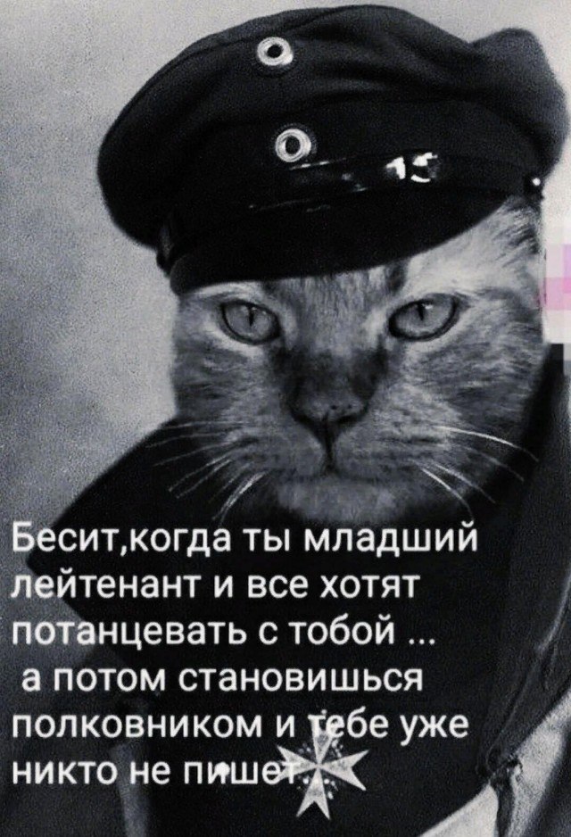   - 8  2024  11:34