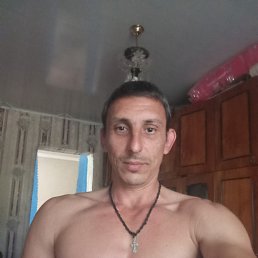 , 37, 