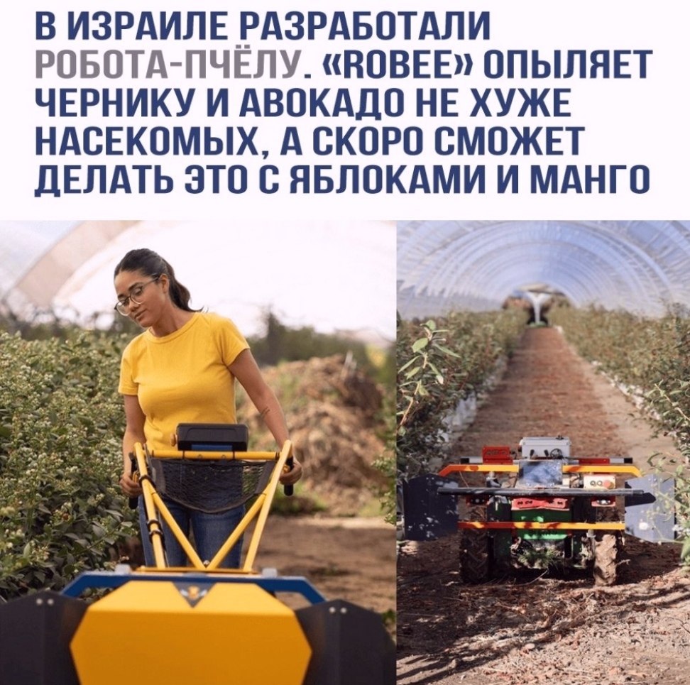 apa ac