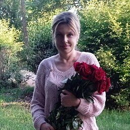 �����, �����������, 46 ���