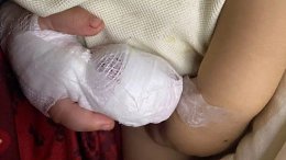 �����������
