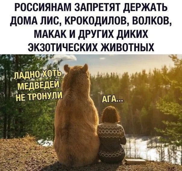   - 13  2024  22:52