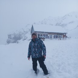 ���� ��������, ���������, 49 ��� - ��������� 16 ������� 2026