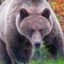 ���� ����, ����, 42 ���� - ��������� 24 ������ 2023 � ������ ���� ����������