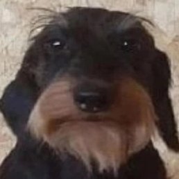 ��������, ������, 27 ���