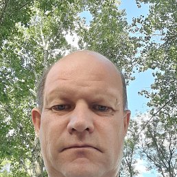, 44, 