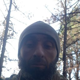 , 41, 