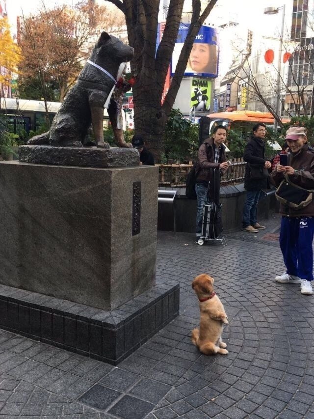        o  ,    .