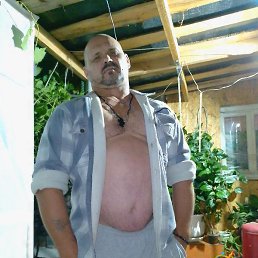 ���� �������, �������, 49 ���