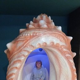 , 64, 