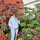  Laura, -, 64  -  3  2025