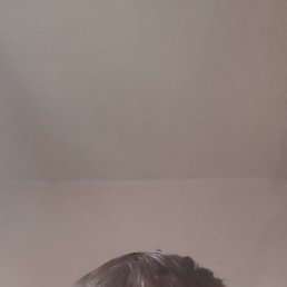 ������, ���������, 38 ���